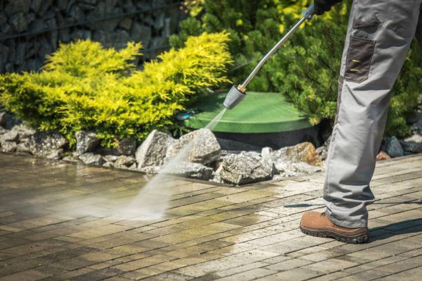 Best Gutter Cleaning  in Brewster Heights, NY